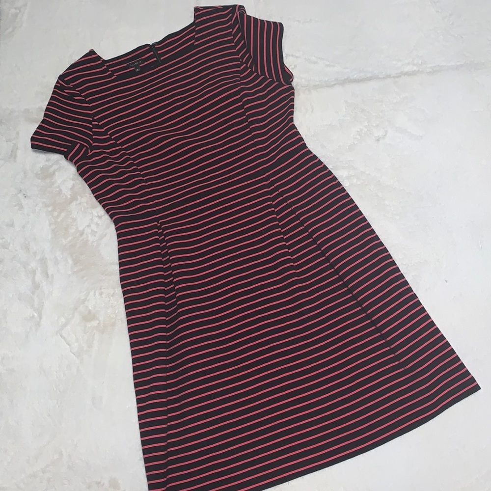 Size 12 Talbots striped stretchy Dress